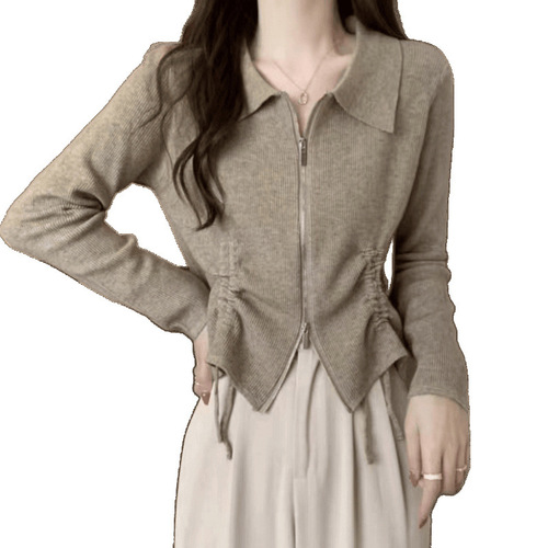 Early Spring Zipper Cord Knitted Sweater for Women 2025 Spring and Autumn New Design Sensory Slim Short Sleeve Cardigan Top