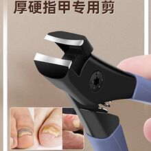 ���_��ָ�׵����M��ԭ�b���b���_��ָ�׌��ü��Q��̖�΂����w�R