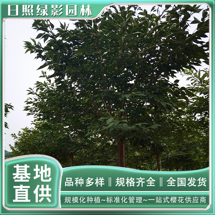 IMG_20210811_174512 副本.jpg