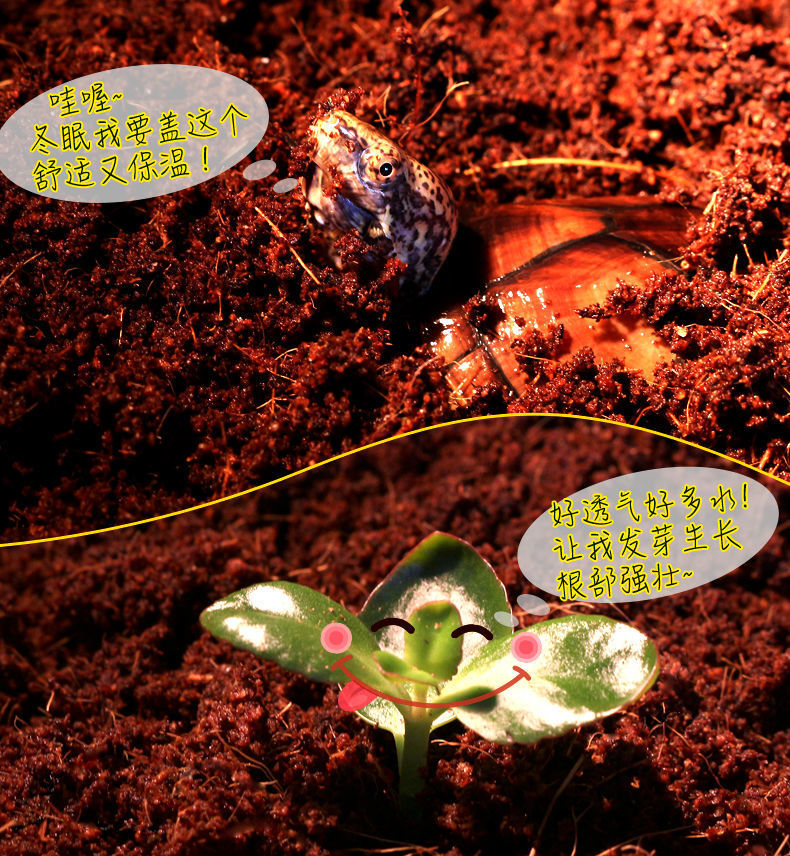 340d6d8d-4ddc-4bfa-8041-d624d9cae527.jpe