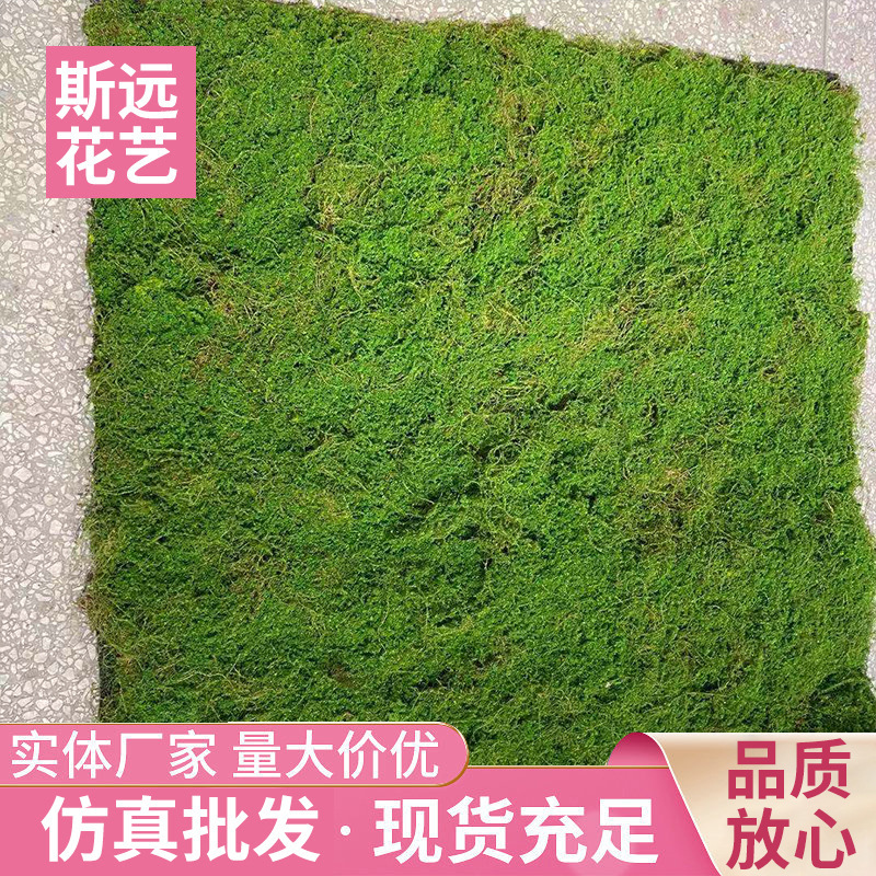 仿真苔藓 草皮綠色人造青苔 背景牆植物牆微景觀裝飾苔藓草皮草坪