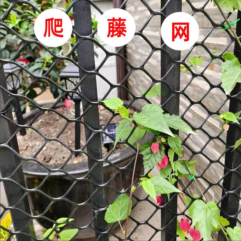 ll蔷薇爬藤网月季网花网格花架子球兰乌托邦花墙网格植物爬墙意赛-阿里巴巴
