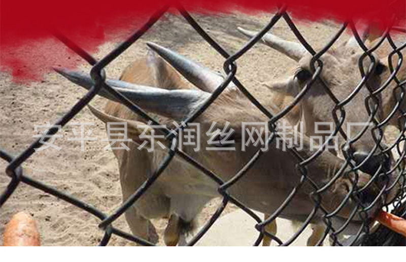 06bac26fc598edce8d51b997daf982