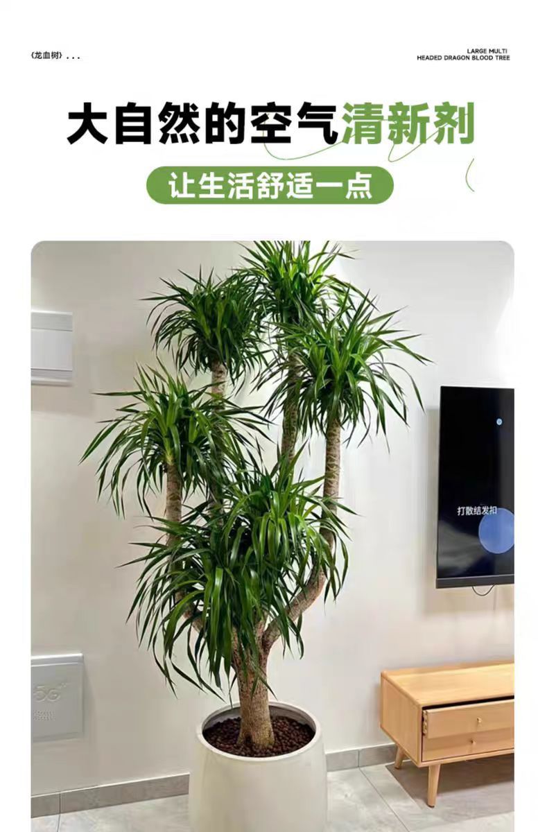 9fa05b67-de66-4aee-8210-5f6f1f66fe6d.png
