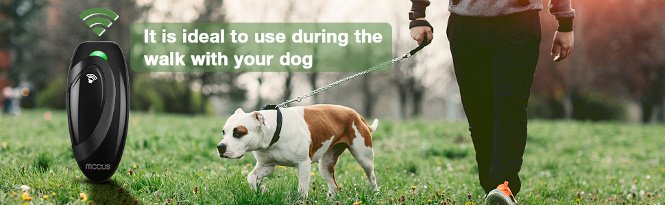 903c1ff3-f09d-4650-99e9-31d6db