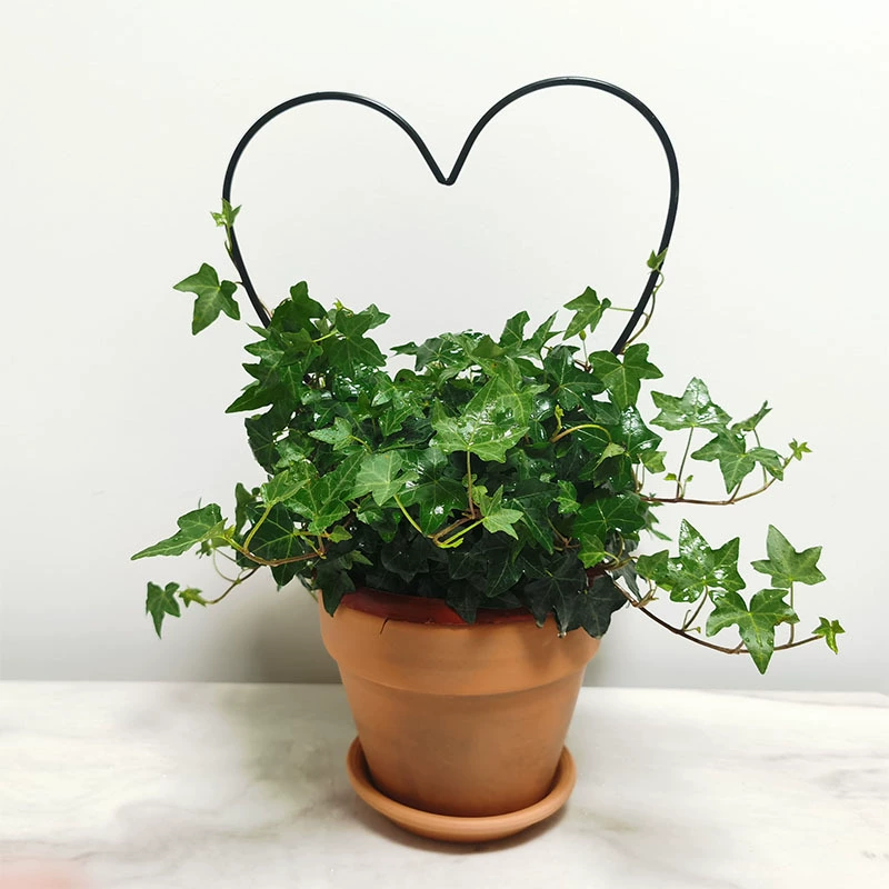 Садовый горшок для растений, лазающая черепаха, черепаха-дракон, горная черепаха, плющ, нефритовый лотос, лазательная рамка, поддержка растений, украшение цветочного горшка.