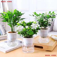 �G�}ˮ��Gֲ�������҃Ȱlؔ�主�F���ľG�j���ɶ��⻨�܃����՚�