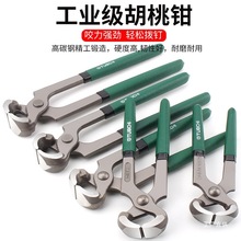 �����Q����Q��Ь���������Q���^�Qľ������Q���������Q���̽�