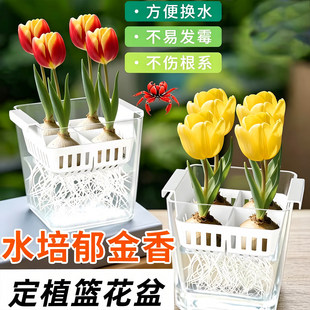 ˮ�໨��ָ�������ٺϻ�����͸����ҕ����ֲ�{����͸����û���