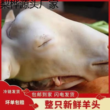 ���^���r��ֻ�^��Ƥ������r��������Ƥ���r������ă����]