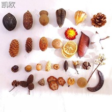 Ȼɹǧy׃@ֹbɻ}QDIY