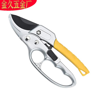 �@��SK5�����ʡ����֦�� ������֦��@ˇ����֦���辰��@��֦��