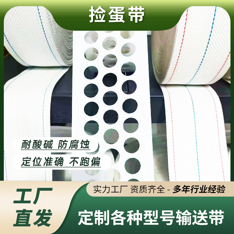 养鸡场白色pp捡蛋带集蛋带 耐磨 耐酸碱 鸡蛋输送机用集蛋带