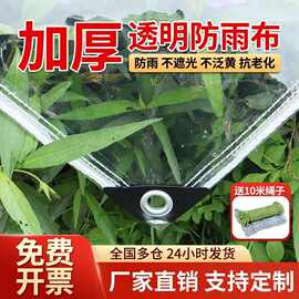 跨境加厚透明雨布遮雨软玻璃篷布防水布防油污桌挡风透明防风雨布
