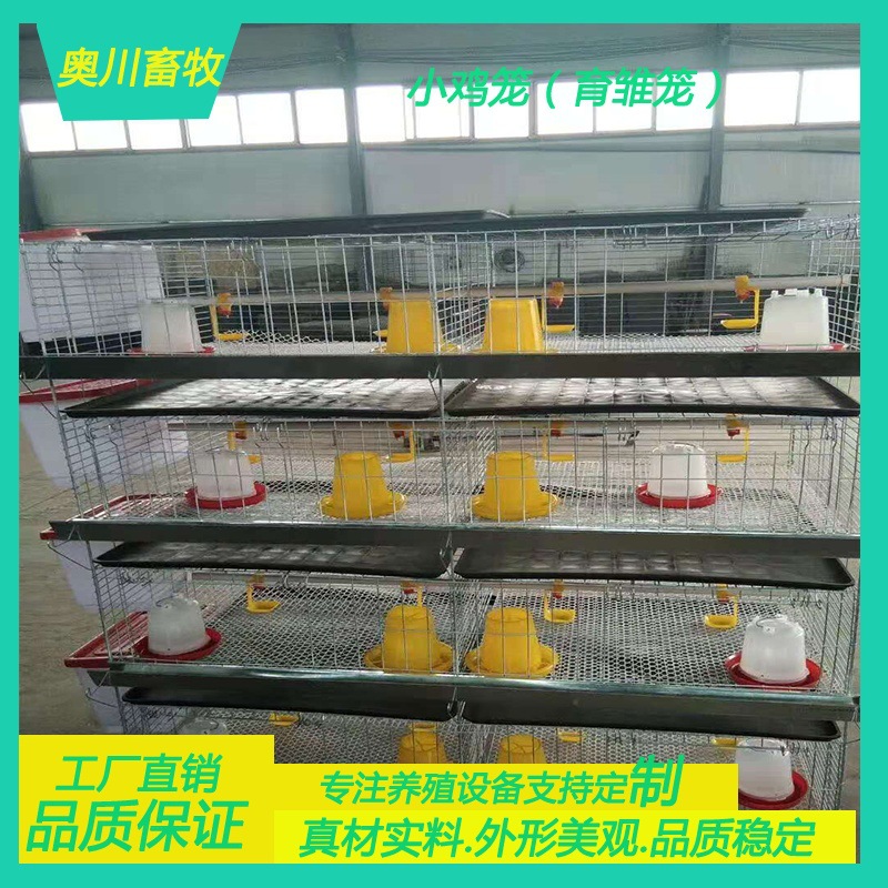 小鸡笼四层立式小鸡笼育雏笼畜牧农用养鸡设备加粗加密层叠小鸡笼