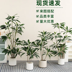 緑植ビロードの軽豪華な高級植物の置物をシミュレーションします。