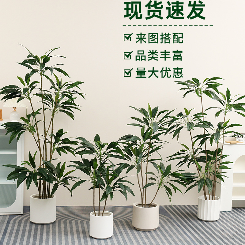 緑植ビロードの軽豪華な高級植物の置物をシミュレーションします。|undefined