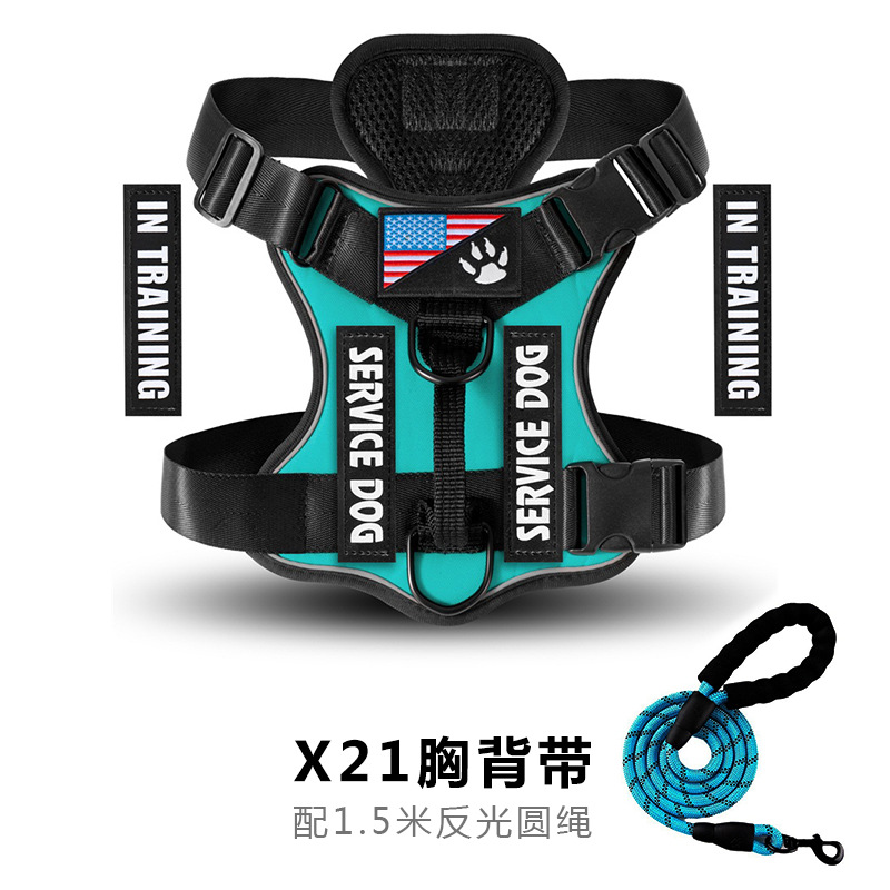레이크 블루 세트