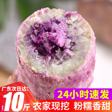 冰淇淋番薯一点红紫心红薯新鲜现挖农家自种花心板栗红薯5斤地瓜
