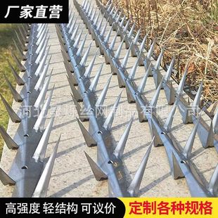 Fence Guardrail Isolation Anti-Climbing Spikes Water Plant Community Electric Field School Factory 304 Stainless Steel Anti-Climbing Spikes