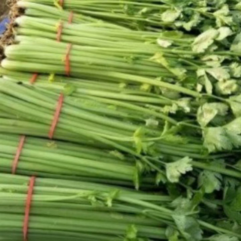 Резинка для волос, красная (ластик)
