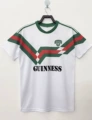 1988-89 Cork City Main Field
