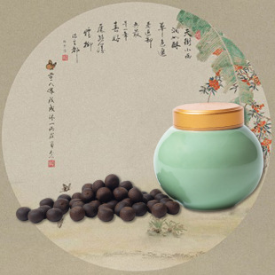 �S�����l�Z�掤����������K�f���������޹����������Ұ�������