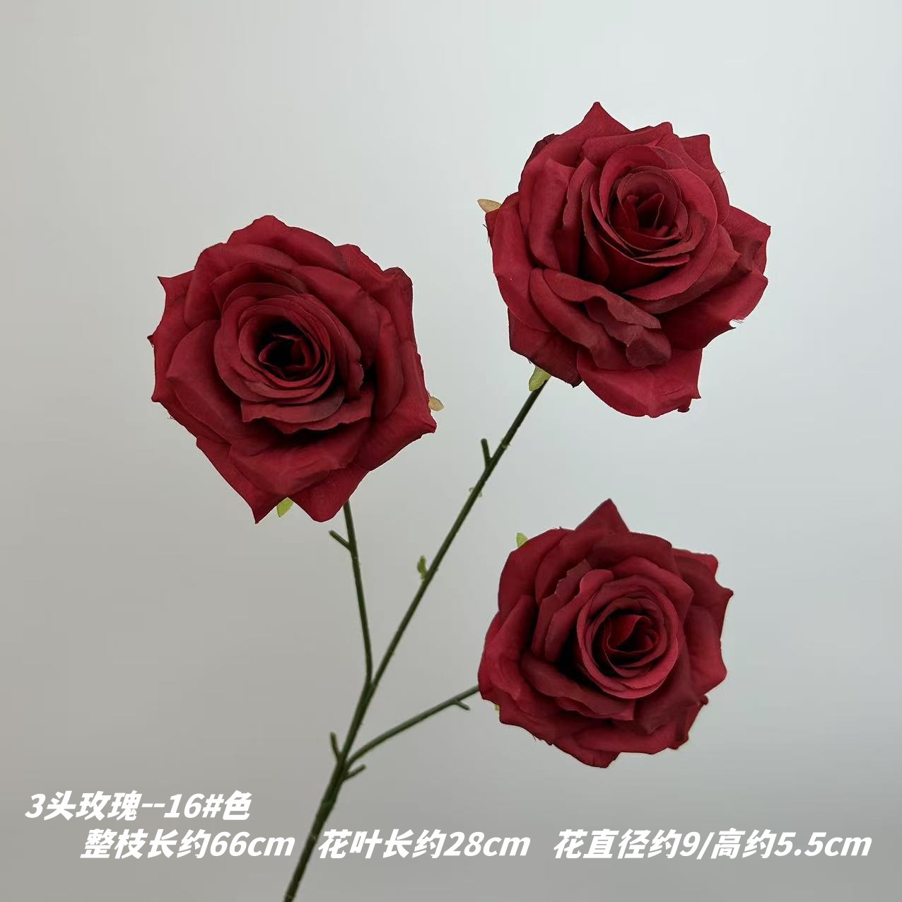 16 # 색상