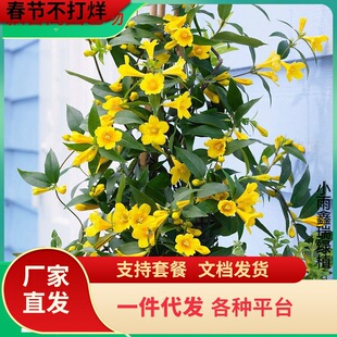 һ�����l�ļ����ٻ��ܾGֲ���Է�����ˮ���Ϙ���������� �ͺ���