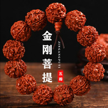 ��������������p���Ჴ����������������������������ִ��Ї��L