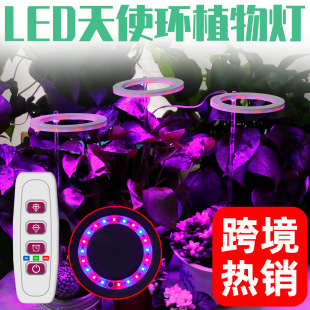 LED plant lamp full spectrum angel ring fleshy light indoor anti-prick coloring green plant growing light