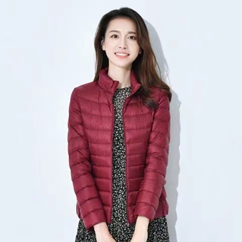 Chaqueta Corta de Algodón para Mujer Transfronteriza 2024, Estilo Coreano Ajustado, Modelo Delgado, Capa de Algodón Lluvia de Seda, con Capucha, Mayorista