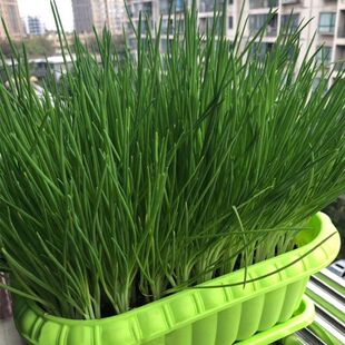 �[�N���ļ�С���[�N���̨���Լt�[�^�ļ����Ϸ���ͥ�Nֲ�߲˷N��