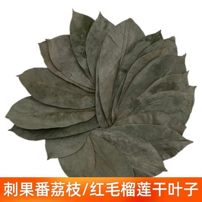 Whole Dried Soursop Leaves 120g Bag Freeze Dried Herbal Tea Leaves for Daily Infusions overview