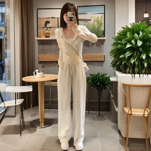 Ladies' Autumn Hooded Sweatshirt Wide Leg Pants Set of Two, Abdominal Covering