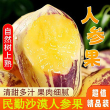 ���C����ɳĮ�˅������rˮ�����������S���˅��L�������������]