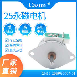 【支持定至】Casun25SPG永磁步进电机200g.cm 低噪音 舞台灯光