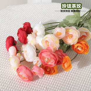����Gֲ�ᭇ��ö¶ɏ����c�Ƶ겼�üҾ��bzӰ���߼ٻ�õ�廨