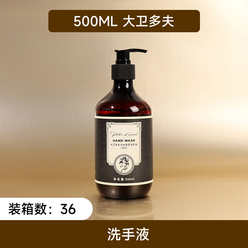 宾馆酒店泡沫洗手液500ml按压大瓶装慕斯432克抑菌商场家用洗手液|undefined