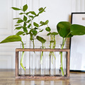 水培试管花瓶水养绿植插花植物容器简约木架摆件台面装饰玻璃花器