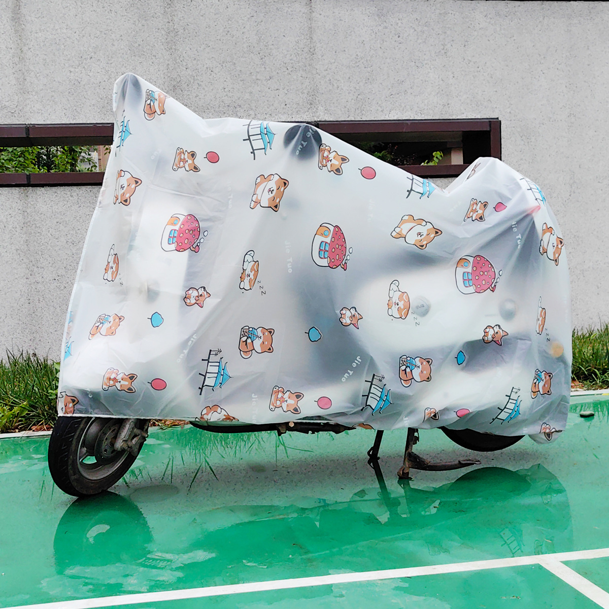 프로스트 행운의 고양이