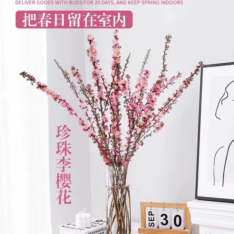 Саженец жемчужной сливы сушеный персик Ветка сакуры гидропонное растение с цветком бутона ветка свежесрезанный сушеный цветок комнатный Выращенный в воде Снежная ива