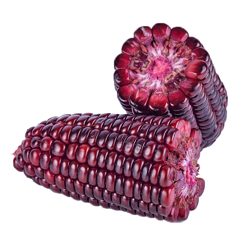 智贝主图_3早甜红香糯玉米种子软粘细腻香糯可口大棒高产春夏