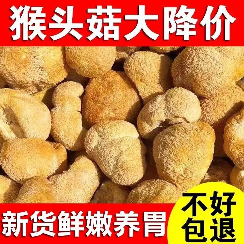 【净重发货】猴头菇干货古田菌菇新鲜猴头菌批发无硫蘑菇煲汤食材