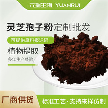 食品原料破壁灵芝孢子粉多糖孢子油三萜灵芝细粉酱褐色孢子粉