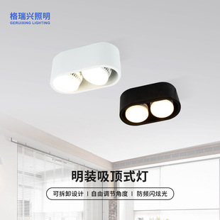 LED Open-mounted Oval Double-head Downlight Exhibition Hall Home Lighting Living Room Corridor Hallway Light Ceiling Light