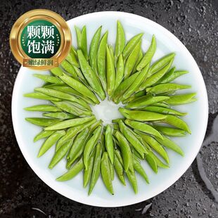 �F����̶��ؼ���ǰ�G���ѿȸ��2026�²���ȫѿ�^����Y���b���~