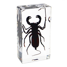 �񷽹�ˇƷ�S�S���ԠI���x�Ә˱�����΁�D����̈����^�[����Ʒ