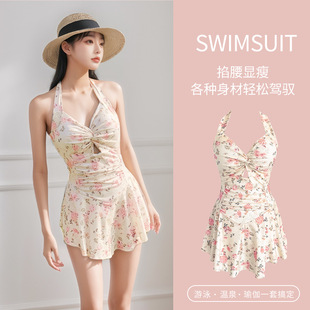 Swimwear Women's Skirt Style Conservatively Slim Look Korean Style Ins Style Hot Girl High-end Small Chest Gathering Hot Spring Swimsuit