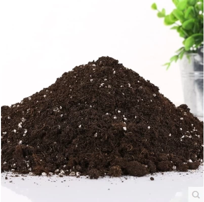 Тюльпан лилии Гиацинт Цветочная и овощная плантация